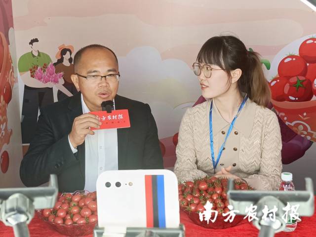 遂溪縣界炮鎮(zhèn)黨委副書記、鎮(zhèn)長岑志東在遂溪千禧果直播秀中介紹遂溪千禧果  南方農(nóng)村報 林健民 拍攝