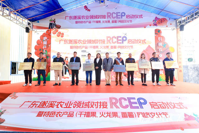 10個(gè)千禧果、番薯、火龍果、香蕉種植基地被授予“RECP生產(chǎn)基地”  南方農(nóng)村報(bào) 吳秒衡 拍攝