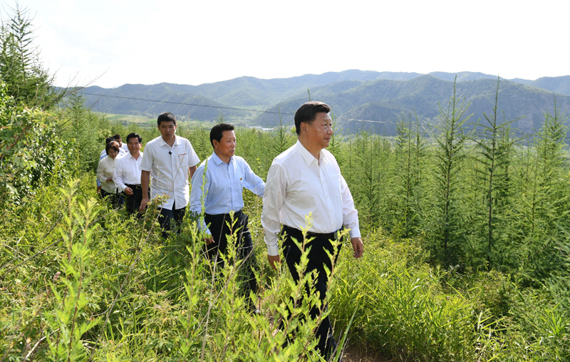 7月15日至16日，中共中央總書記、國家主席、中央軍委主席習近平在內(nèi)蒙古考察并指導開展“不忘初心、牢記使命”主題教育。這是15日下午，習近平在赤峰市喀喇沁旗馬鞍山林場林區(qū)，沿著崎嶇的護林小道察看林木長勢。