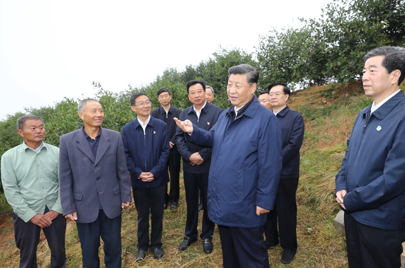 　　9月16日至18日，中共中央總書記、國(guó)家主席、中央軍委主席習(xí)近平在河南考察。這是17日上午，習(xí)近平來到信陽市光山縣槐店鄉(xiāng)司馬光油茶園，同正在勞作的村民和管理人員交流。 新華社記者 鞠鵬 攝