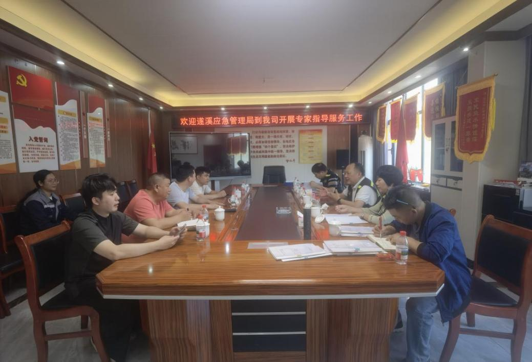 遂溪縣應急管理局到非煤礦山企業(yè)開展專家指導服務工作1.png